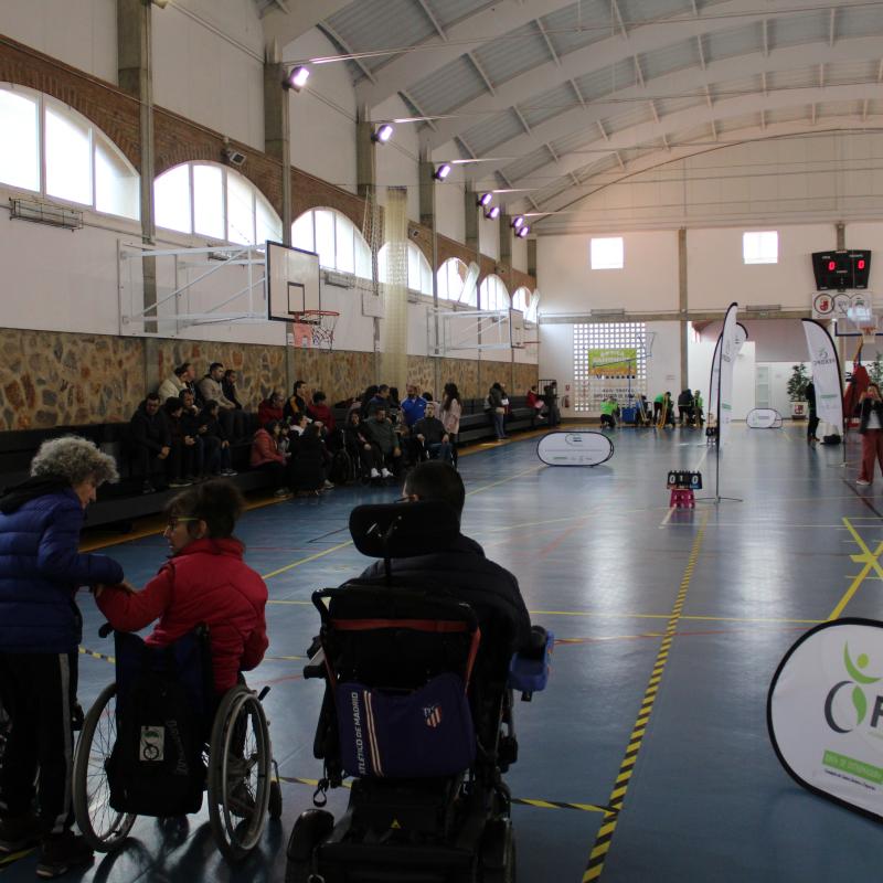 TORNEO DE NAVIDAD 2023 | Federaci�n Extreme�a de Deportes de Par�lisis Cerebral